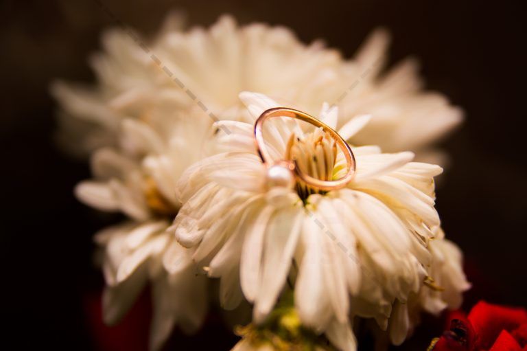 Wedding Ring and Flower Stock Image Pakistan