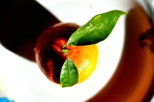 Citrus Kinnow Stock Image PixSplash