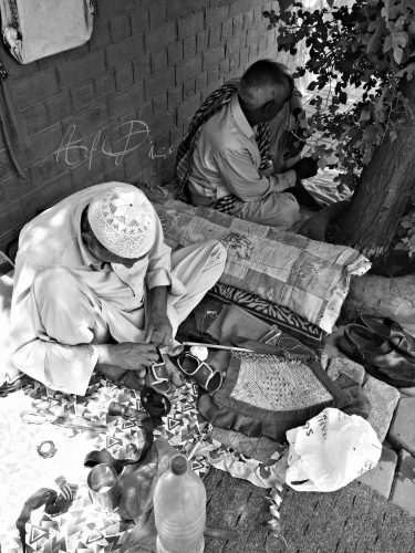 Pakistani Cobbler Mochi in the Sunshine Stock Image by PixSplash