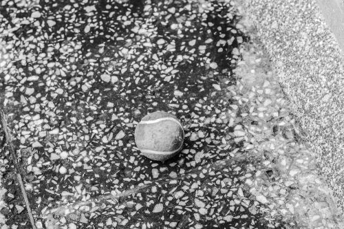 Tennis Ball Black and White Free Stock Image PixSplash