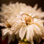 Wedding Ring and Flower Stock Image Pakistan