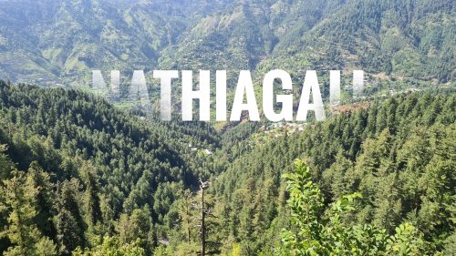 Nathiagali Mountains Greenery Pakistan Free Image PixSplash