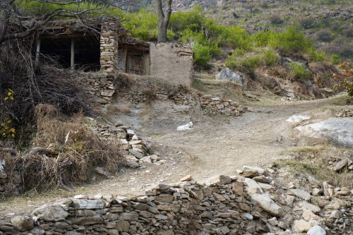 Free Stock Images by Pixspalsh