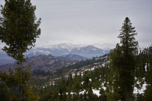Winter Wonderland on the way towards Malam Jabba, Pakistan - Free Stock Images by Pixsplash