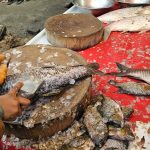 Fish Season at Fish Market Pakistan Free Stock