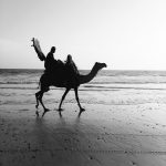 Free Stock Image of Camel ride from Karachi Pakistan by PixSplash