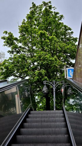 Outdoor Escalator Emerging into Greenry - Free Stock Images
