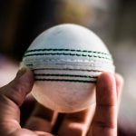 Hardball for Cricket- Free Stock Image by Pixsplash