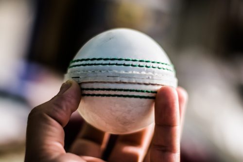 Hardball for Cricket- Free Stock Image by Pixsplash