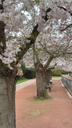 IMG 20250330 WA01131